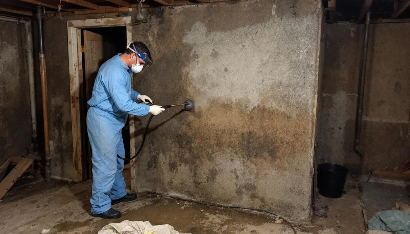 Effektive Schritte zur Schimmelbekämpfung in alten Gebäuden